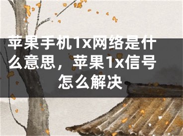 蘋果手機(jī)1x網(wǎng)絡(luò)是什么意思，蘋果1x信號怎么解決