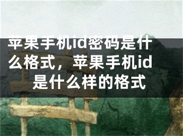 蘋果手機(jī)id密碼是什么格式，蘋果手機(jī)id是什么樣的格式