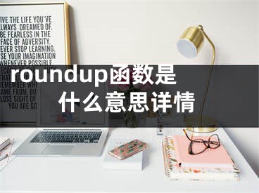 roundup函數(shù)是什么意思詳情