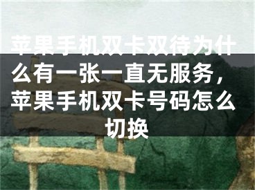 蘋果手機雙卡雙待為什么有一張一直無服務(wù)，蘋果手機雙卡號碼怎么切換