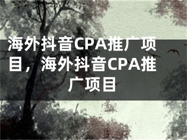 海外抖音CPA推廣項(xiàng)目，海外抖音CPA推廣項(xiàng)目