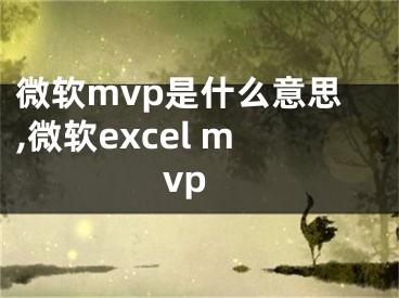 微軟mvp是什么意思,微軟excel mvp