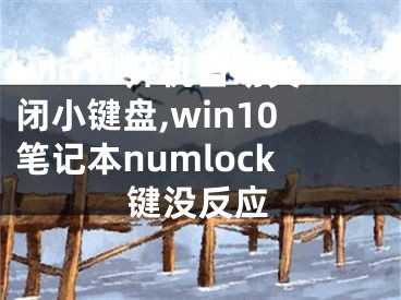 win10開機自動關(guān)閉小鍵盤,win10筆記本numlock鍵沒反應