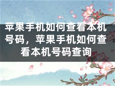 蘋果手機如何查看本機號碼，蘋果手機如何查看本機號碼查詢