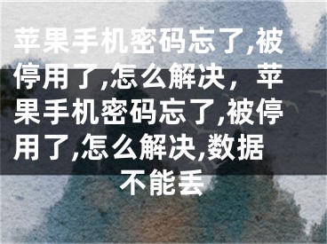 蘋果手機密碼忘了,被停用了,怎么解決，蘋果手機密碼忘了,被停用了,怎么解決,數(shù)據(jù)不能丟