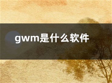 gwm是什么軟件