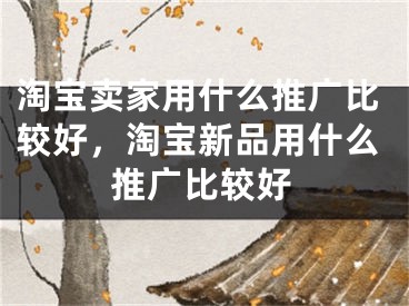 淘寶賣家用什么推廣比較好，淘寶新品用什么推廣比較好