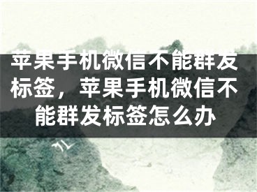 蘋果手機微信不能群發(fā)標(biāo)簽，蘋果手機微信不能群發(fā)標(biāo)簽怎么辦