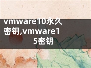 vmware10永久密鑰,vmware15密鑰