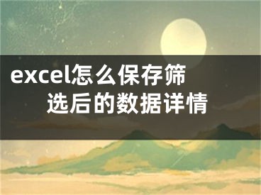 excel怎么保存篩選后的數(shù)據(jù)詳情