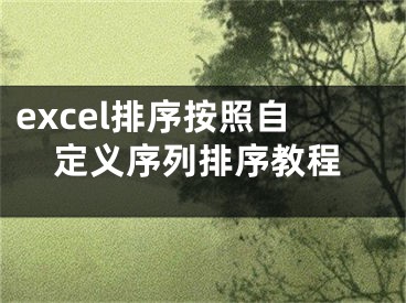 excel排序按照自定義序列排序教程