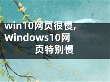 win10網(wǎng)頁很慢,Windows10網(wǎng)頁特別慢