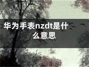 華為手表nzdt是什么意思