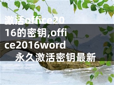 激活office2016的密鑰,office2016word永久激活密鑰最新