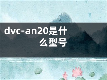 dvc-an20是什么型號