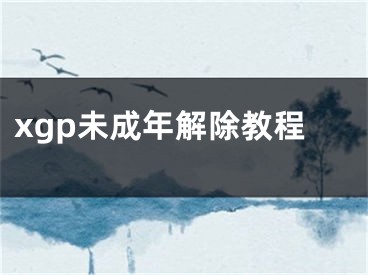 xgp未成年解除教程