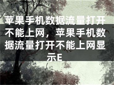 蘋果手機(jī)數(shù)據(jù)流量打開不能上網(wǎng)，蘋果手機(jī)數(shù)據(jù)流量打開不能上網(wǎng)顯示E