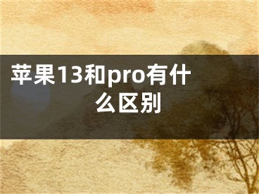 蘋果13和pro有什么區(qū)別