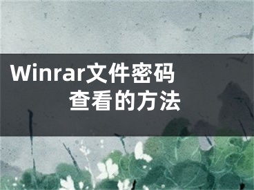 Winrar文件密碼查看的方法