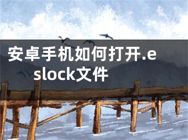 安卓手機(jī)如何打開.eslock文件