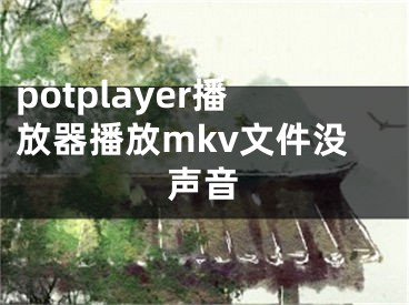 potplayer播放器播放mkv文件沒(méi)聲音