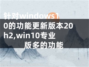 針對(duì)windows10的功能更新版本20h2,win10專業(yè)版多的功能