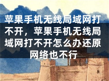 蘋果手機無線局域網(wǎng)打不開，蘋果手機無線局域網(wǎng)打不開怎么辦還原網(wǎng)絡(luò)也不行