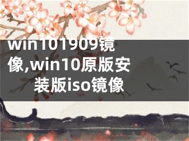 win101909鏡像,win10原版安裝版iso鏡像