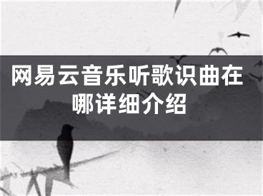 網(wǎng)易云音樂聽歌識曲在哪詳細介紹