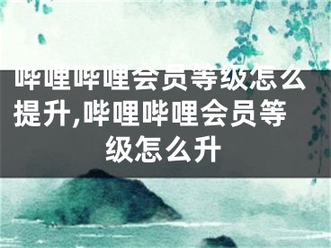 嗶哩嗶哩會員等級怎么提升,嗶哩嗶哩會員等級怎么升