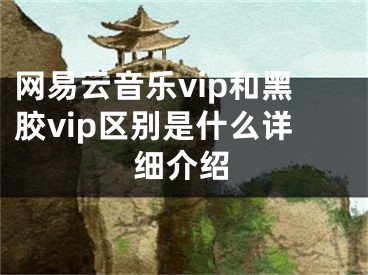 網(wǎng)易云音樂vip和黑膠vip區(qū)別是什么詳細介紹