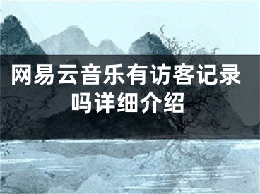 網(wǎng)易云音樂(lè)有訪客記錄嗎詳細(xì)介紹