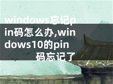 windows忘記pin碼怎么辦,windows10的pin碼忘記了