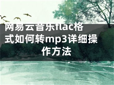 網(wǎng)易云音樂flac格式如何轉(zhuǎn)mp3詳細(xì)操作方法