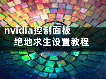 nvidia控制面板絕地求生設(shè)置教程