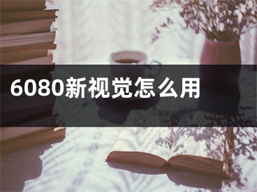 6080新視覺怎么用