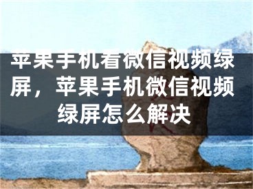 蘋果手機看微信視頻綠屏，蘋果手機微信視頻綠屏怎么解決