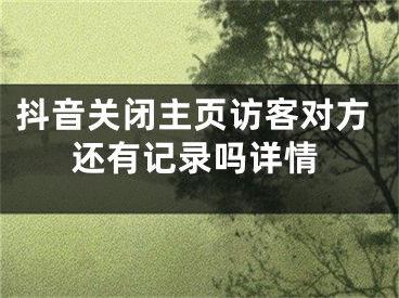 抖音關(guān)閉主頁訪客對方還有記錄嗎詳情