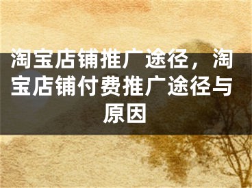 淘寶店鋪推廣途徑，淘寶店鋪付費(fèi)推廣途徑與原因