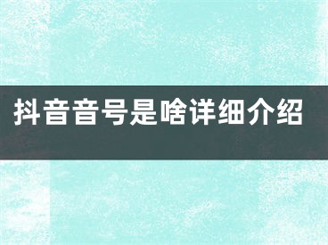 抖音音號是啥詳細(xì)介紹