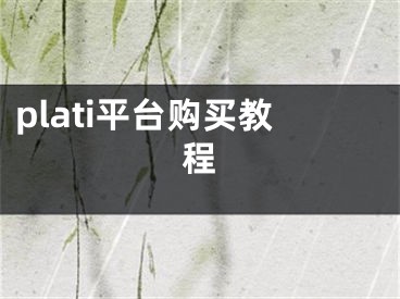 plati平臺(tái)購買教程