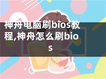 神舟電腦刷bios教程,神舟怎么刷bios