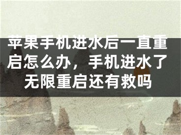 蘋果手機進水后一直重啟怎么辦，手機進水了無限重啟還有救嗎