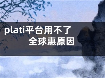 plati平臺(tái)用不了全球惠原因