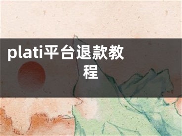 plati平臺退款教程