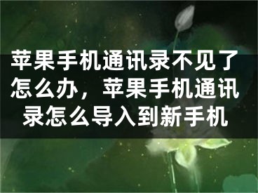 蘋果手機通訊錄不見了怎么辦，蘋果手機通訊錄怎么導(dǎo)入到新手機