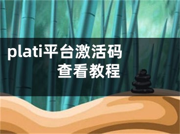 plati平臺(tái)激活碼查看教程