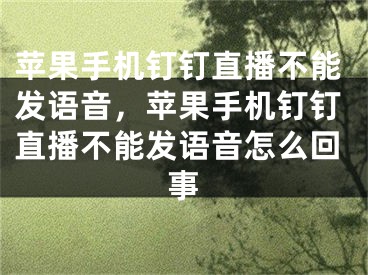 蘋果手機釘釘直播不能發(fā)語音，蘋果手機釘釘直播不能發(fā)語音怎么回事