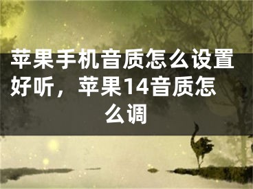 蘋果手機音質怎么設置好聽，蘋果14音質怎么調