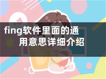 fing軟件里面的通用意思詳細(xì)介紹